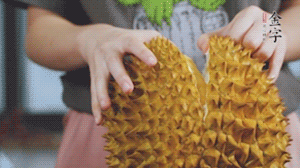 榴蓮剝好肉后，搗成泥狀。