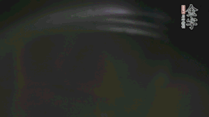 剝?nèi)ネ鈿さ墓S、切花刀的香菇、豌豆入沸水焯水。