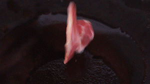 鍋中倒入橄欖油燒熱，放入淡火腿小火煸炒至打卷狀態(tài)。