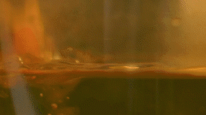 雞肉、鹽、料酒入冷水鍋水開后撇去浮沫，溫水洗凈。