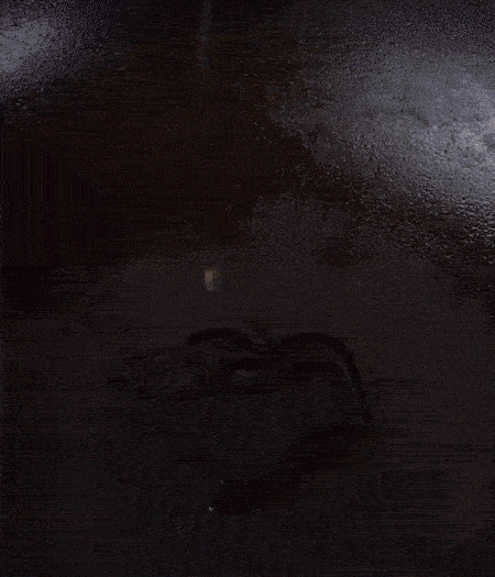 冷鍋熱油，下蒜片爆香，下香腸、玉米筍、蓮藕、西芹爆炒，期間加點水，翻炒1分鐘后加新鮮百合片，翻炒30秒。