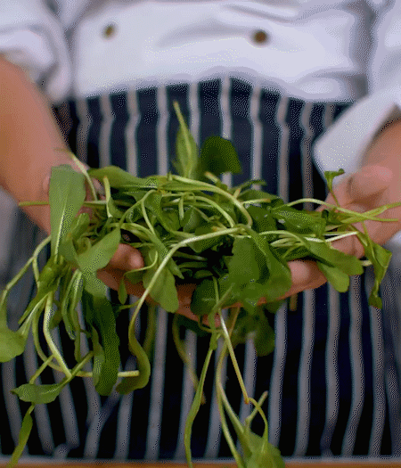 馬蘭頭焯水，切成細(xì)末。